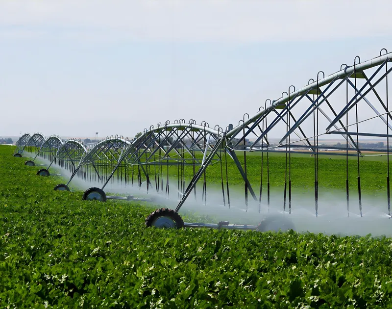 Sistema ng Irrigation ng Micro-Sprinkler