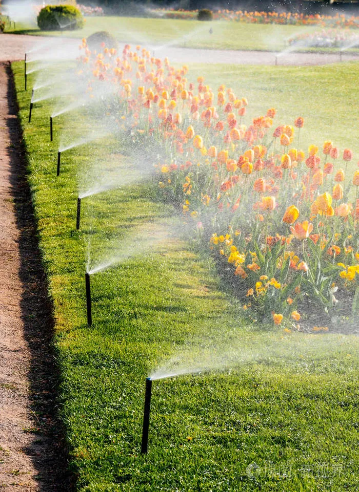 Irrigation ng Landscape
