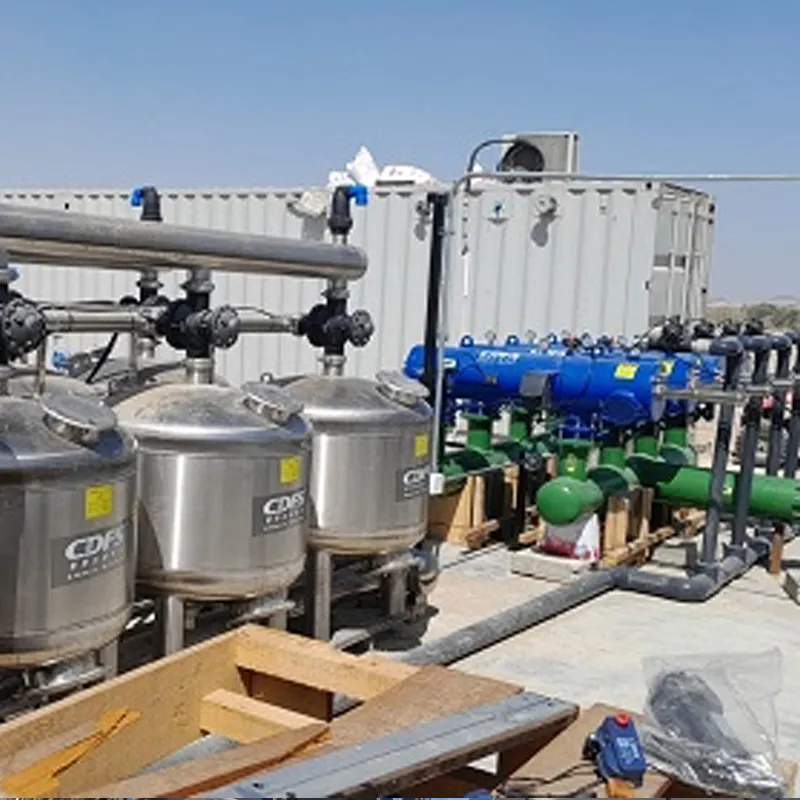 Peru Blueberry Irrigation Gamit ang River Water Project