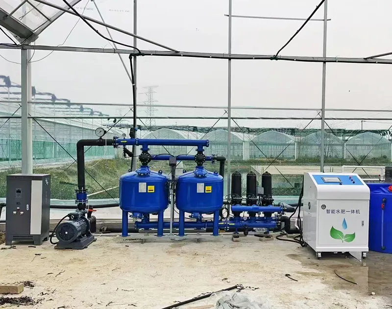 Tsina Gansu Tomato Cultivation Project