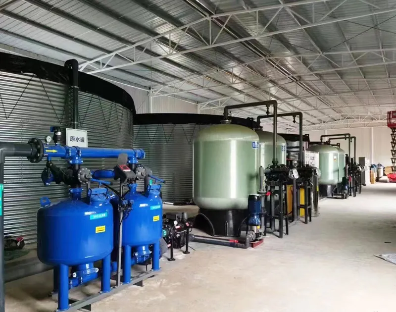 Tsina Yunnan Blueberry Substrate Cultivation Project